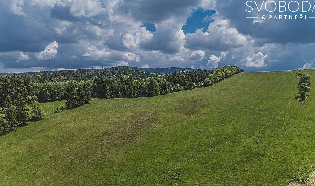 Prodej stavebního pozemku 5 600 m², Olešnice v Orlických horách – náhled fotky 12