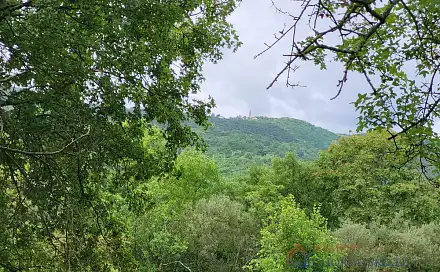 Prodej stavebního pozemku 120 000 m², Buzet, Chorvatsko