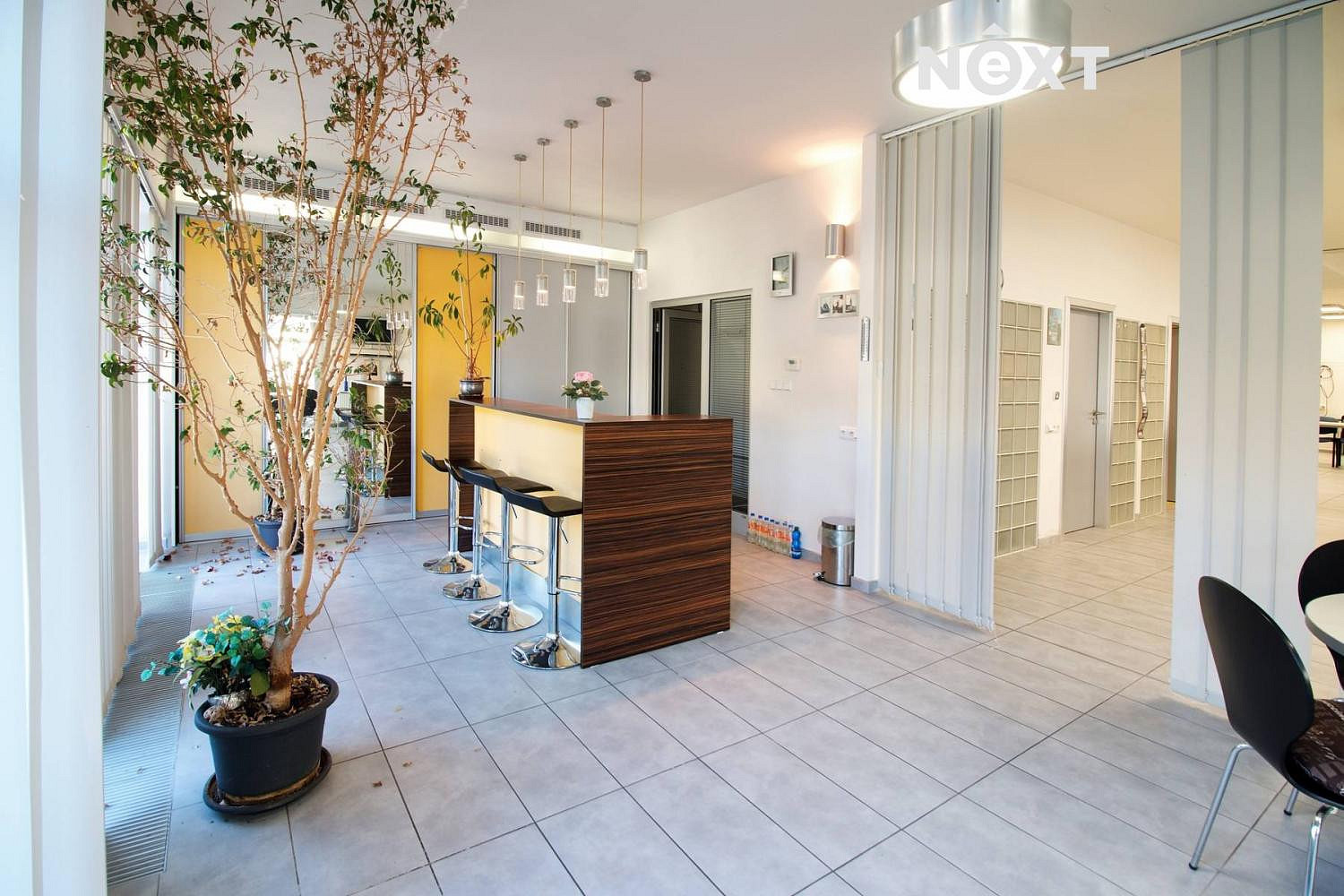 Pronájem obchodních prostor 195 m² – fotografie 3