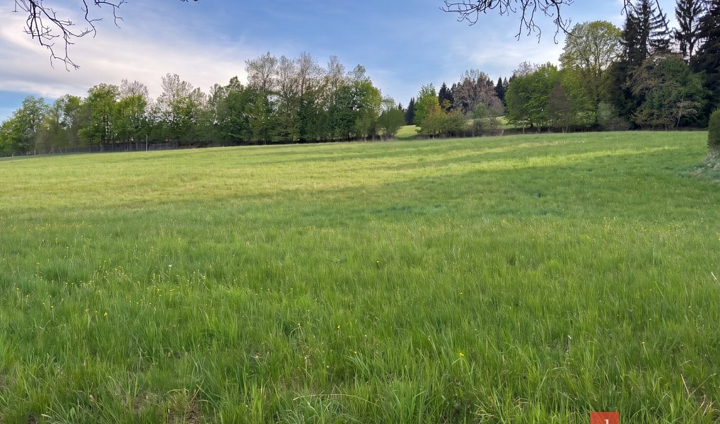 Prodej stavebního pozemku 2 133 m², Stachy – náhled fotky 7