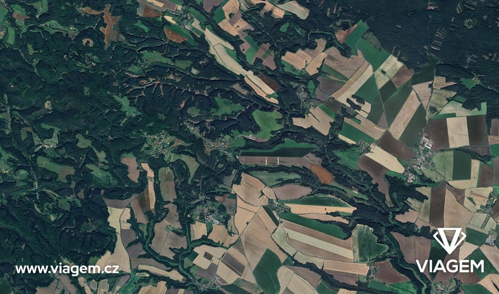 Prodej lesa 300 m², Nosálov – náhled fotky 3