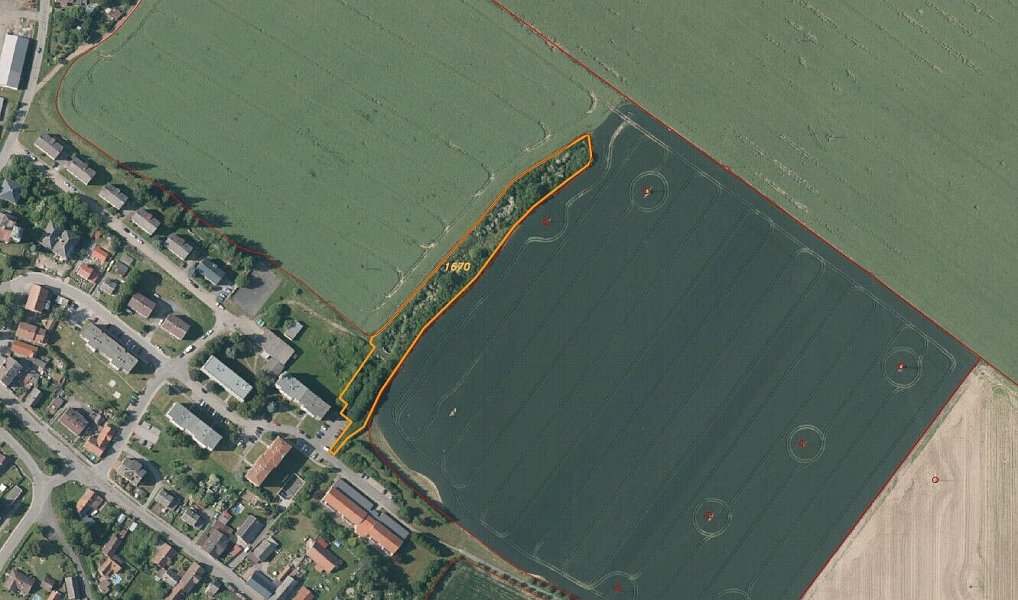 Prodej pole 6 167 m², Žihle – náhled fotky 5