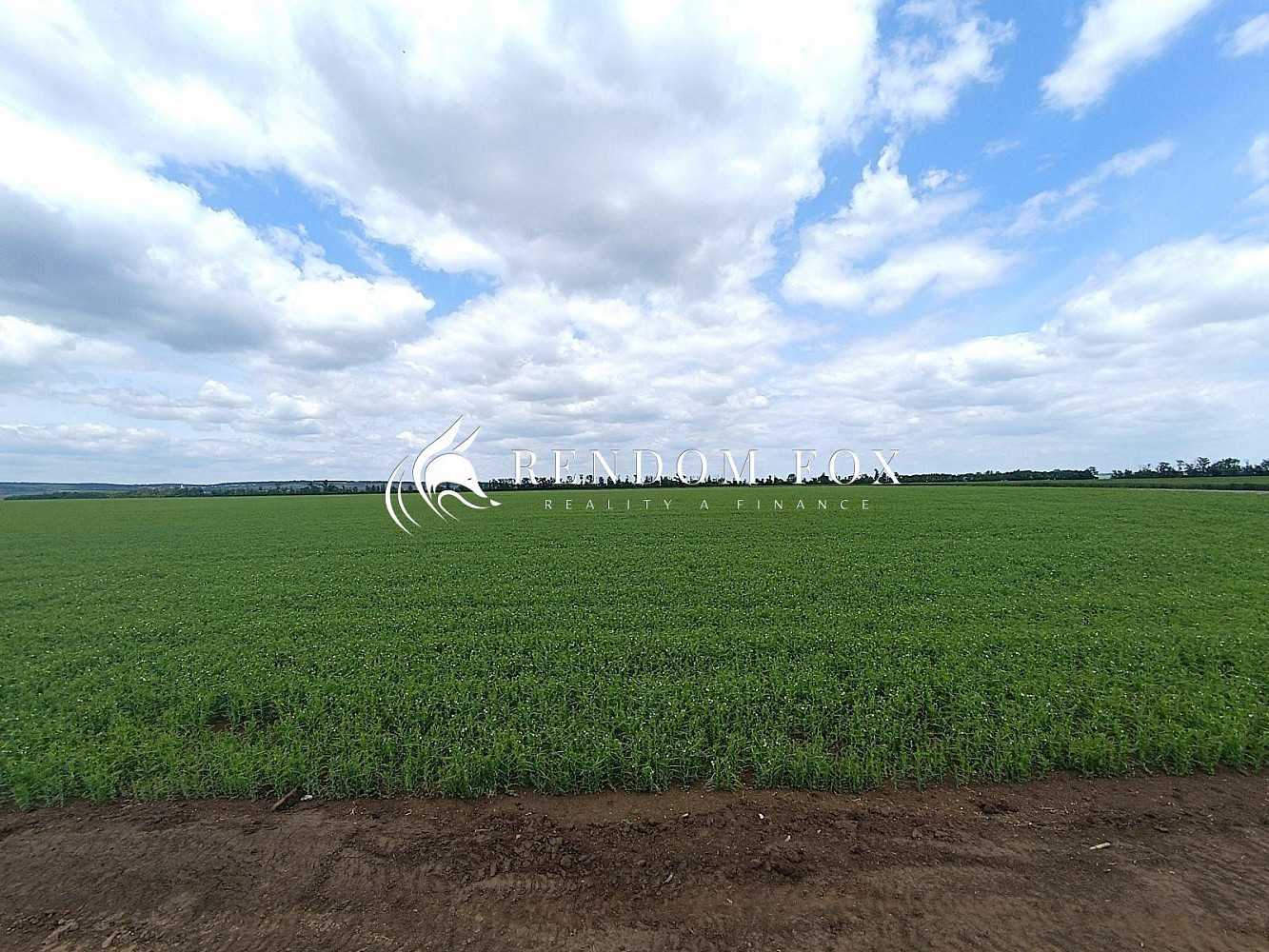 Prodej pole 22 505 m² — photo 4