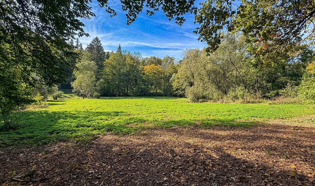 Prodej pozemku, 19850 m², Popovec - Ústí nad Orlicí, Řepníky