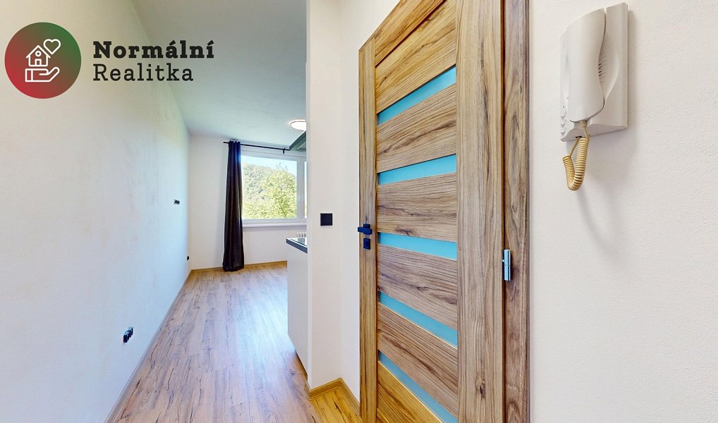 Pronájem bytu 1+kk 20 m², Ústí nad Labem – náhled fotky 11