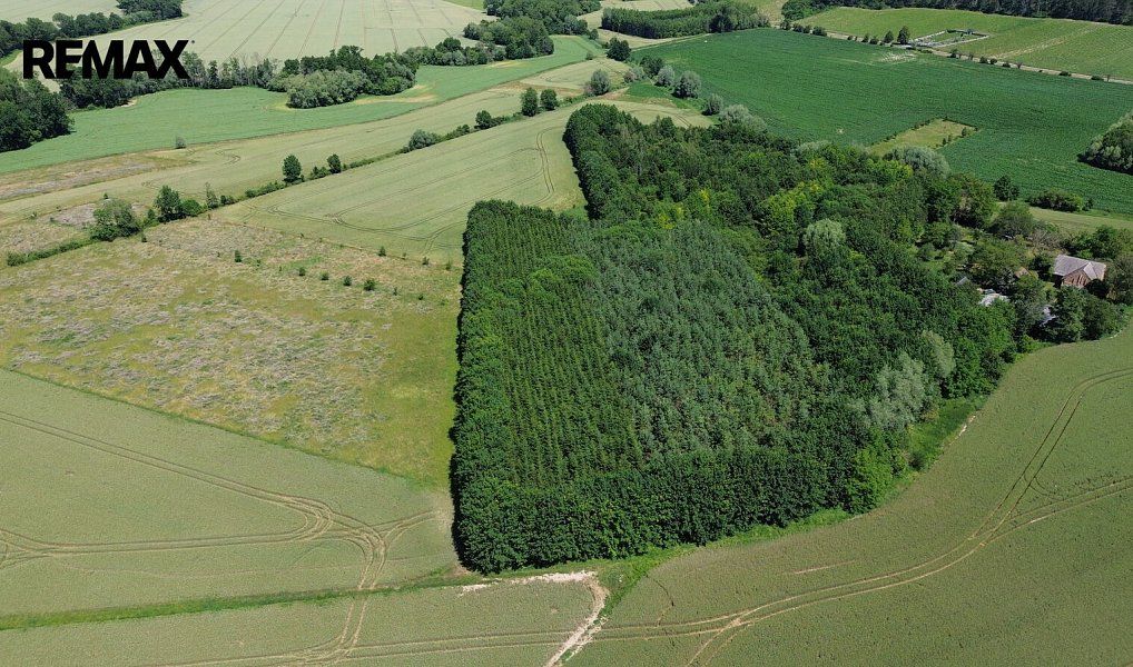 Prodej pole 9 186 m², Vinaře – náhled fotky 2