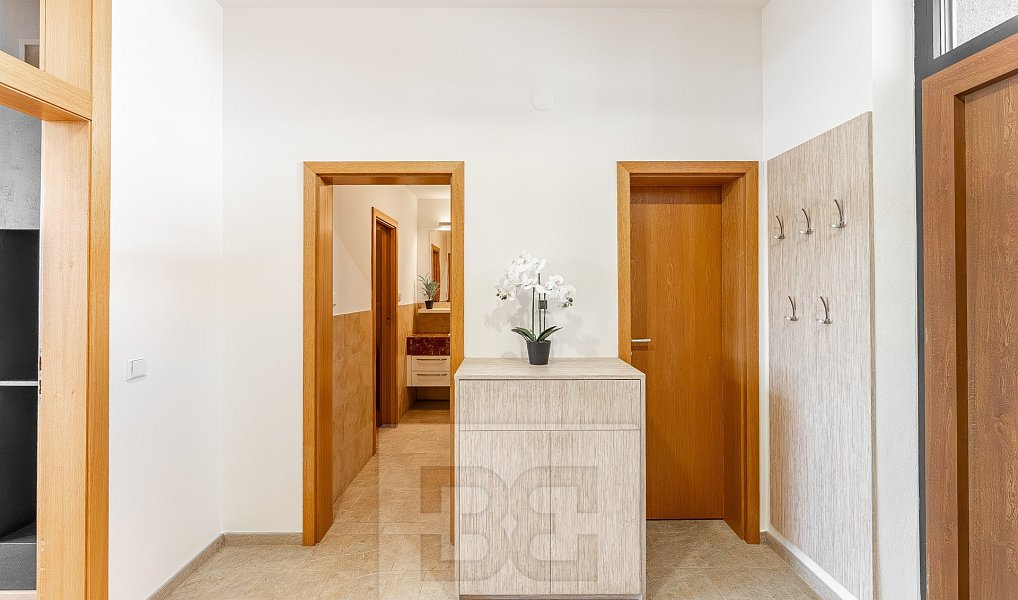 Prodej bytu 6+kk 230 m², Praha – náhled fotky 11