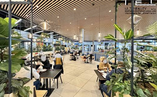 Pronájem restaurace 187 m², Vídeňská, Brno - Dolní Heršpice