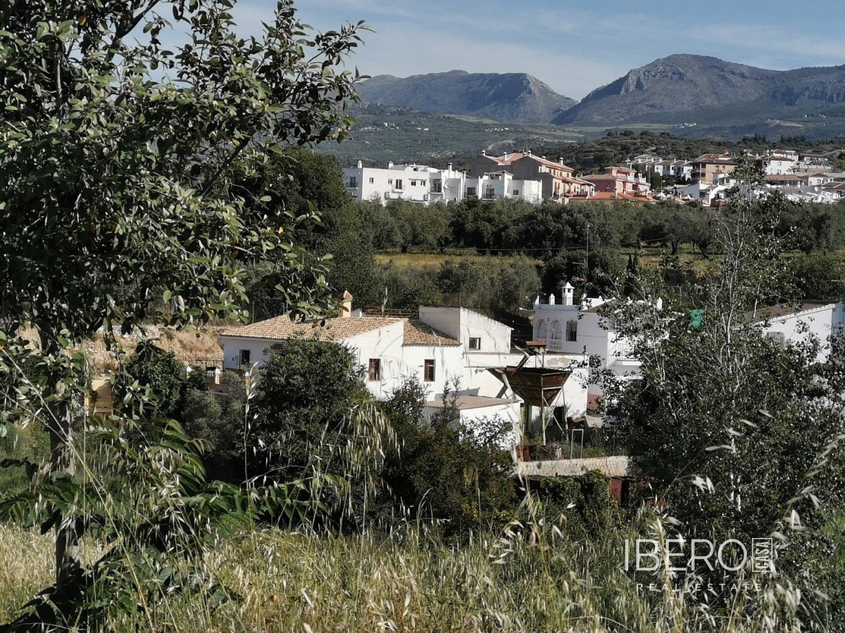 Prodej domu 299 m² s pozemkem 3 600 m²