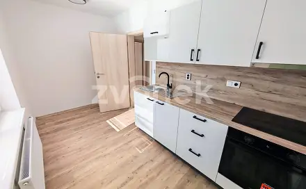 Pronájem bytu 1+1 32 m², Moravní, Otrokovice, okres Zlín