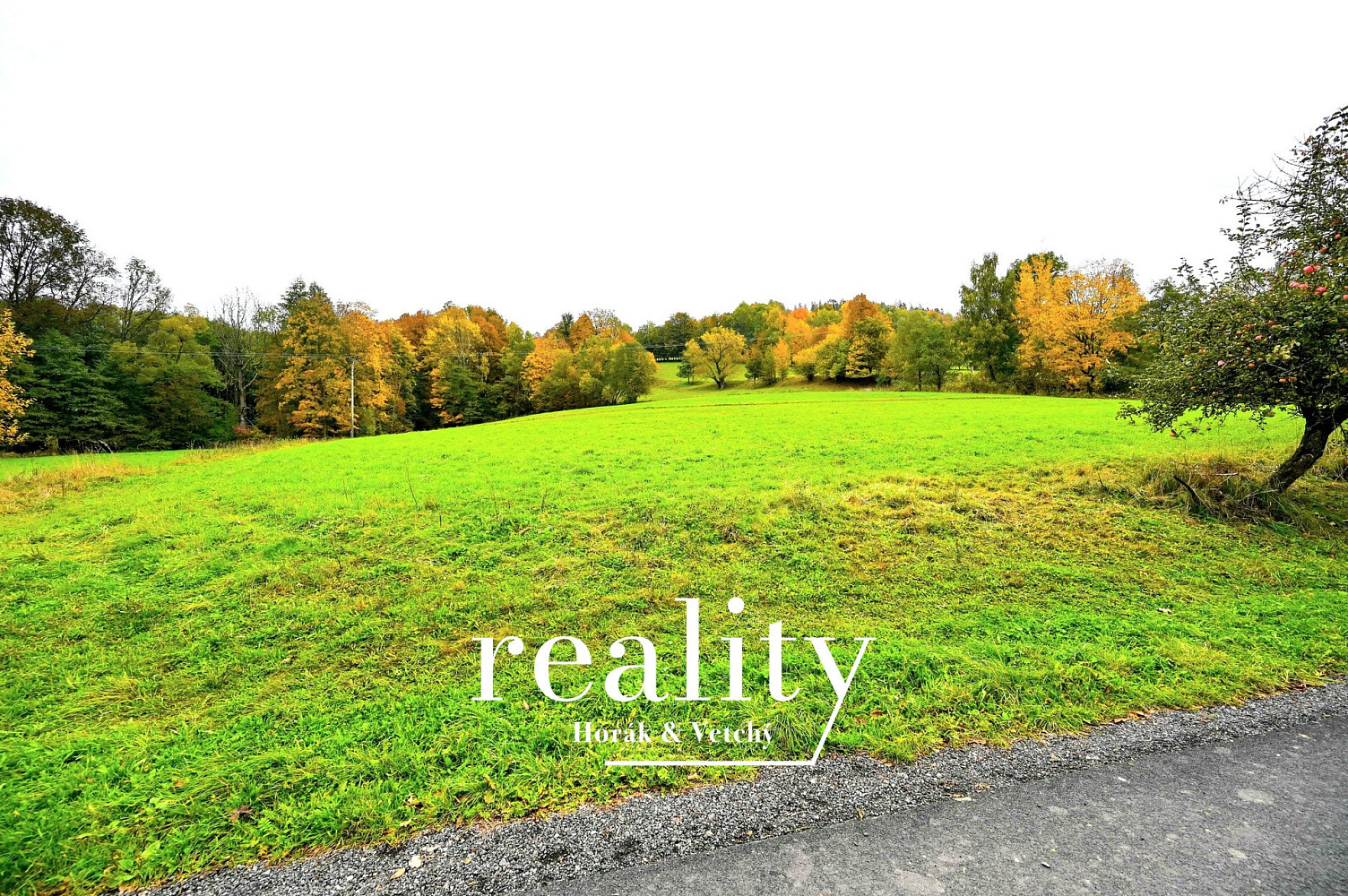 Prodej stavebního pozemku 3 588 m² – fotografie 3