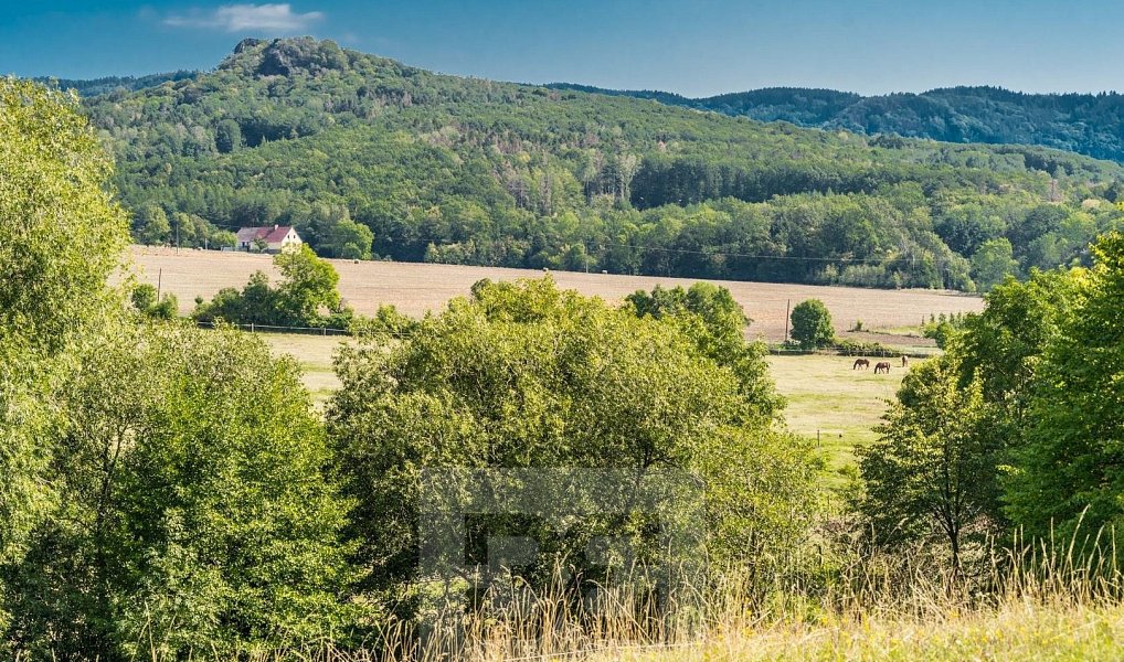 Prodej domu 400 m² s pozemkem 242 000 m², Malečov – náhled fotky 6