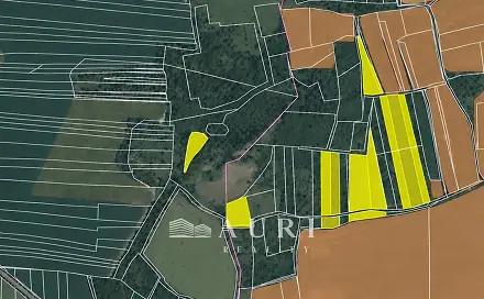 Prodej pozemku 43 822 m², Libochovice - Dubany, okres Litoměřice