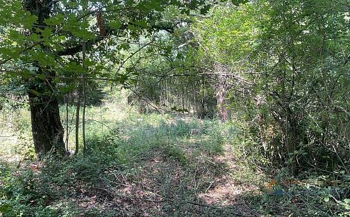 Prodej stavebního pozemku 3 380 m², Pićan, Chorvatsko