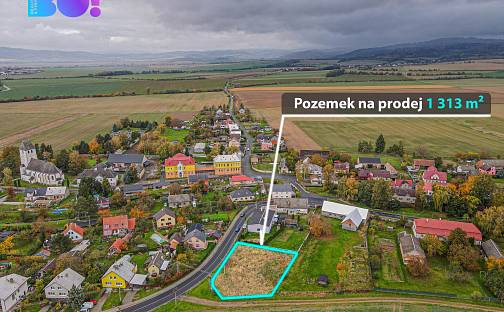 Prodej stavebního pozemku 1 313 m², Dlouhá Loučka, okres Olomouc