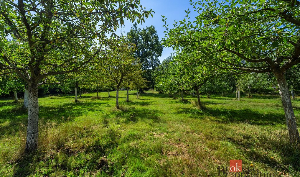 Prodej stavebního pozemku 12 049 m², Varnsdorf – náhled fotky 14