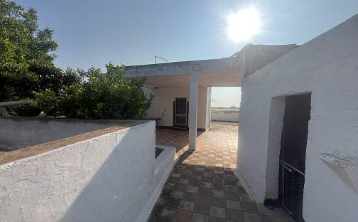 Prodej vily 71 m² s pozemkem 3 000 m², Strada provinciale 134, Sava, Apúlie, Itálie