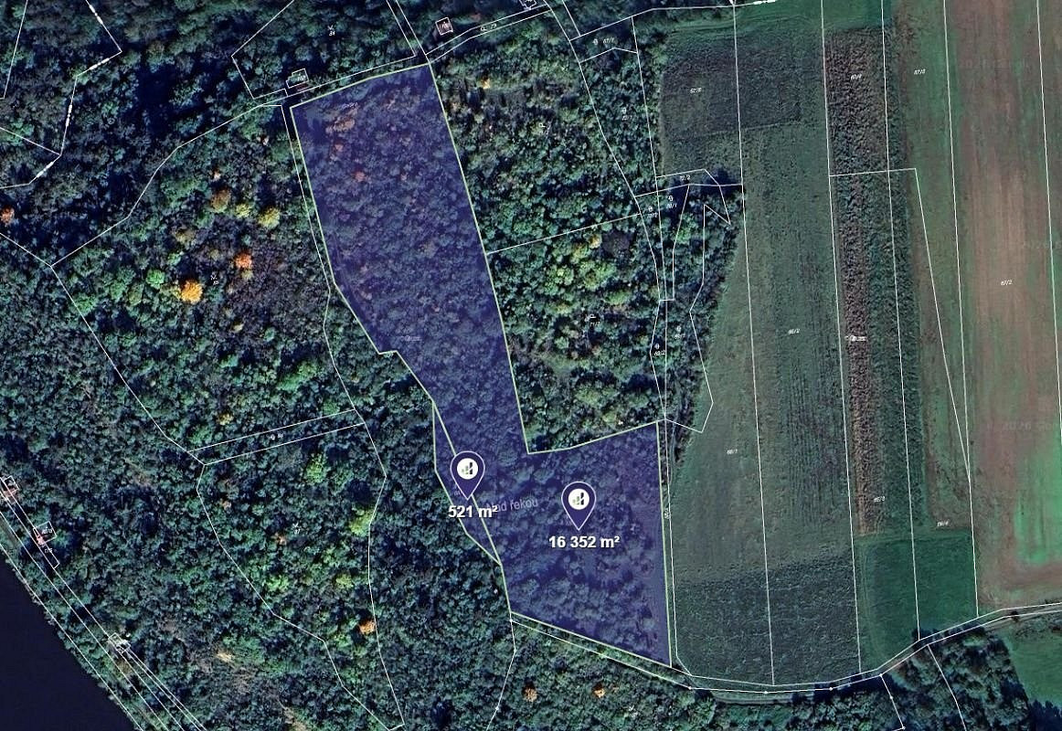 Prodej louky 7 030 m²