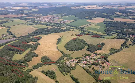 Prodej lesa 45 954 m², Zvěstov, okres Benešov
