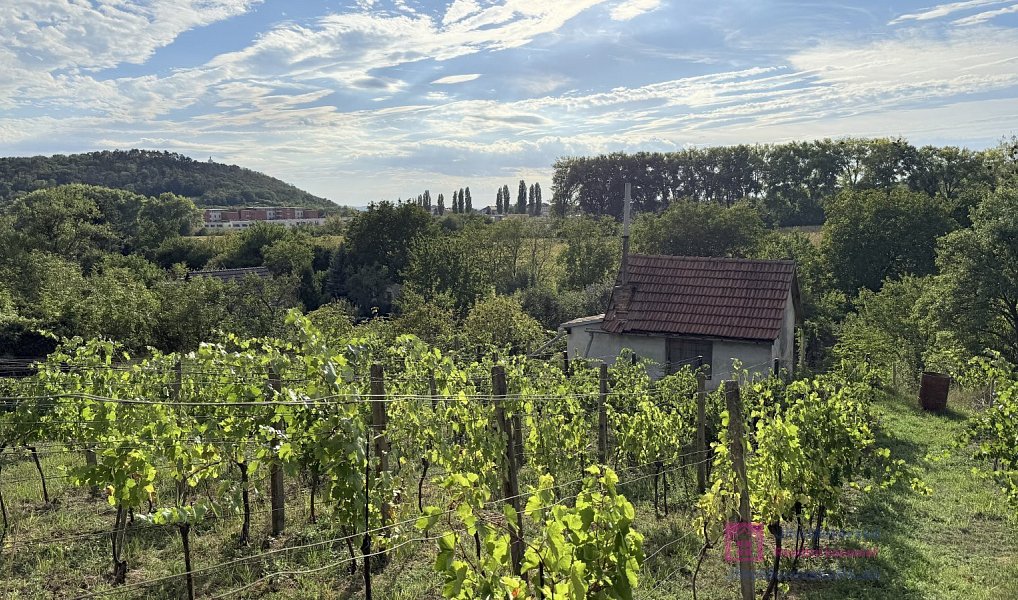 Prodej zahrady 1 256 m², Mikulov – náhled fotky 10