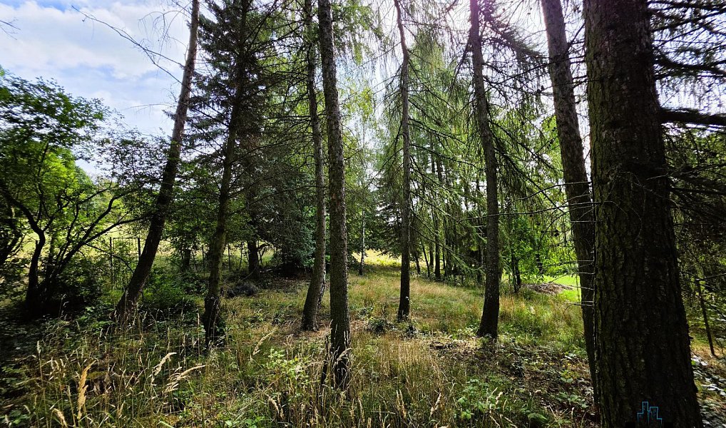 Prodej domu 160 m² s pozemkem 2 306 m², Litvínov – náhled fotky 20