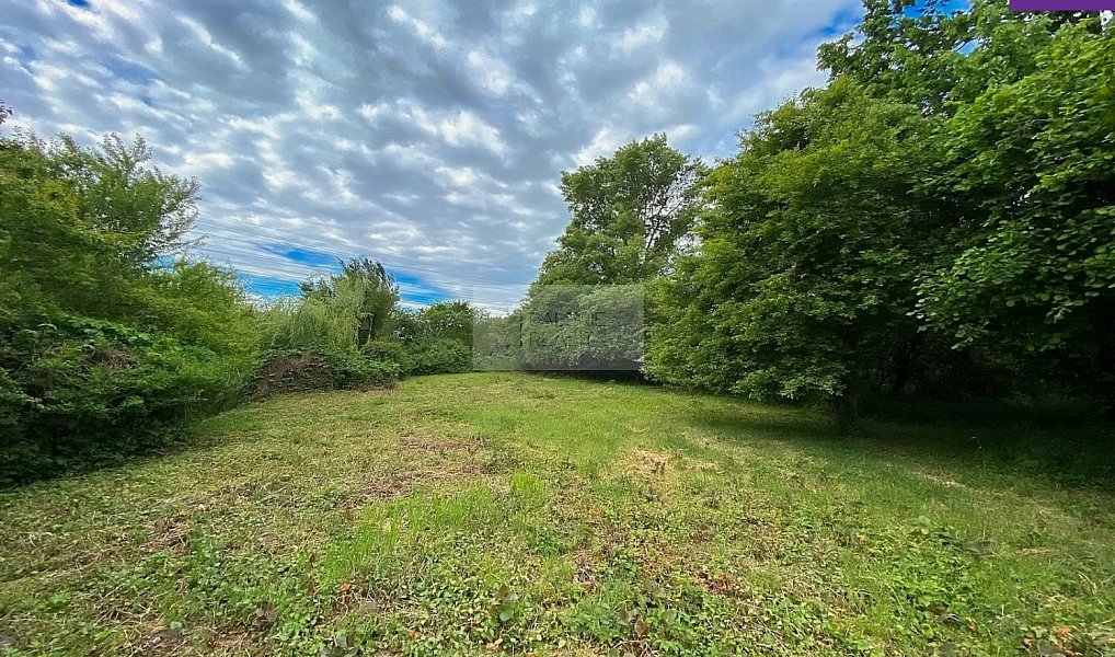 Prodej zahrady 4 026 m², Brandýs nad Labem-Stará Boleslav – náhled fotky 2