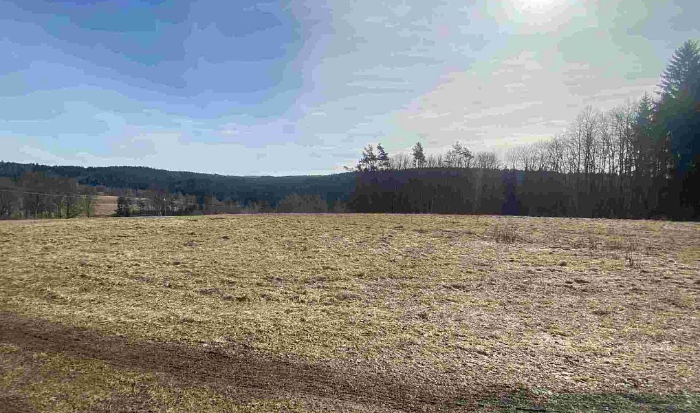 Prodej pole 3 869 m², Kraslice – náhled fotky 7