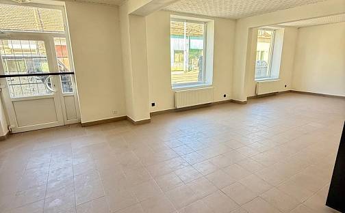 Pronájem obchodních prostor 95 m², Dukelská třída, Brno - Husovice