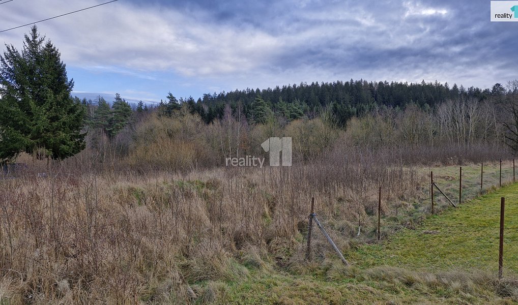 Prodej stavebního pozemku 2 983 m², Kynšperk nad Ohří – náhled fotky 10