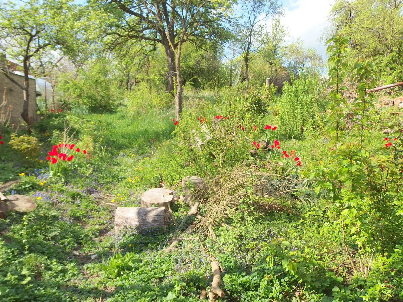 Prodej chaty/chalupy 198 m² s pozemkem 600 m² – pohled 6