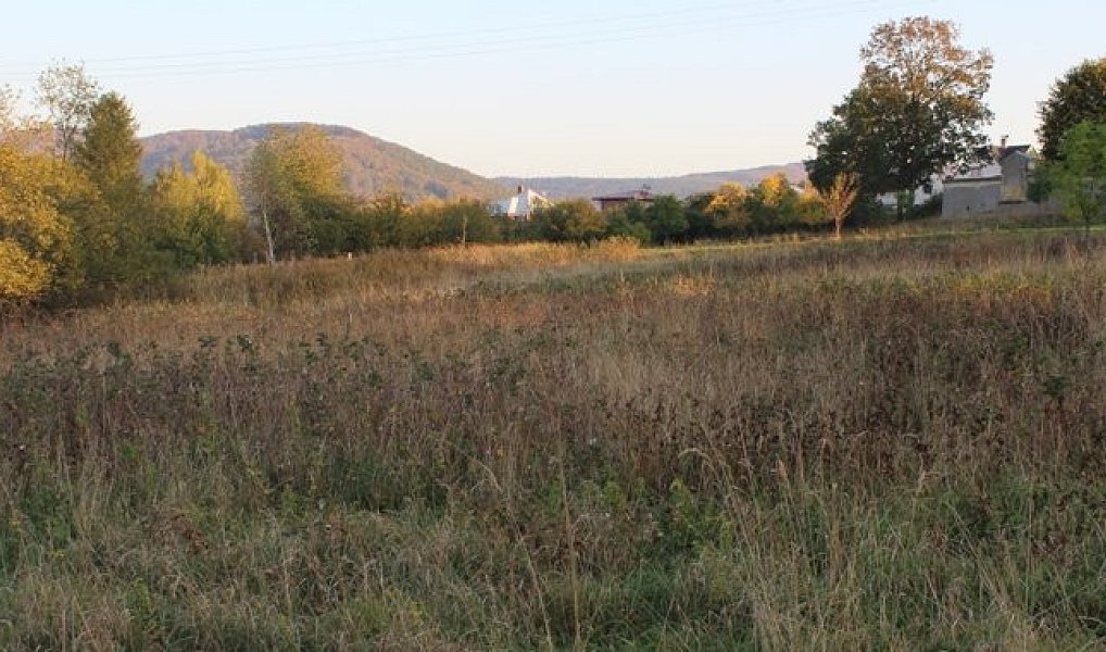 Prodej komerčního pozemku 12 121 m², Jiřetín pod Jedlovou – náhled fotky 4