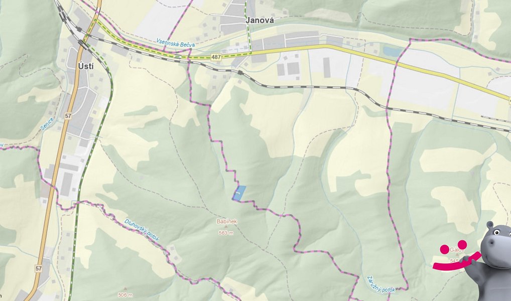 Prodej lesa 5 887 m², Janová – náhled fotky 4
