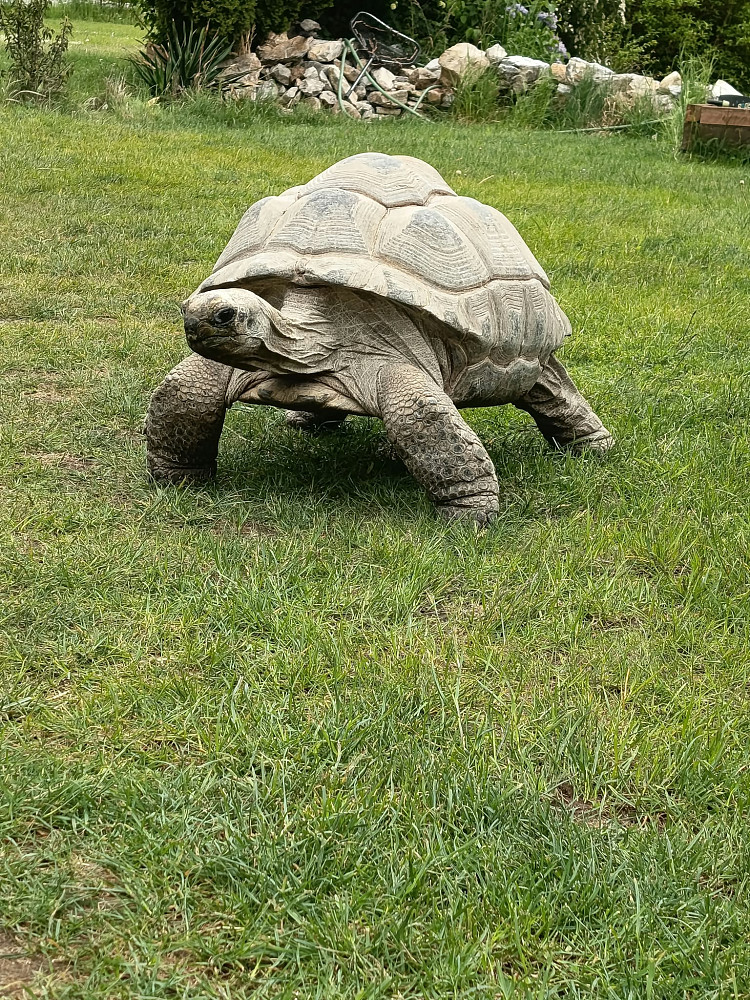 Fotka 6 z 10