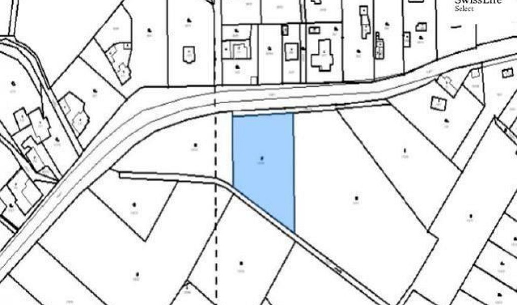 Prodej stavebního pozemku 3 211 m², Všemyslice – náhled fotky 3