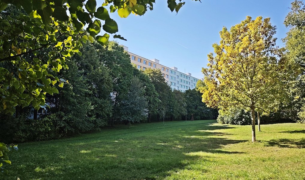 Prodej bytu 2+1 53 m², Brno – náhled fotky 14