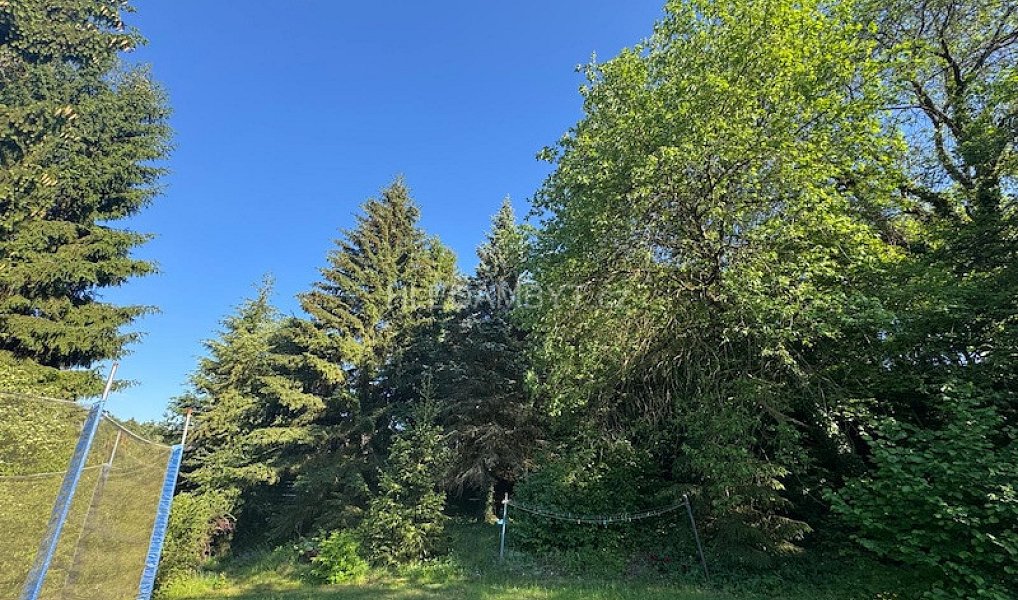Prodej chaty/chalupy 250 m² s pozemkem 2 047 m², Dubá – náhled fotky 14