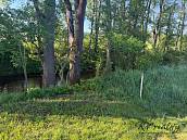 Prodej zahrady 1�297�m2