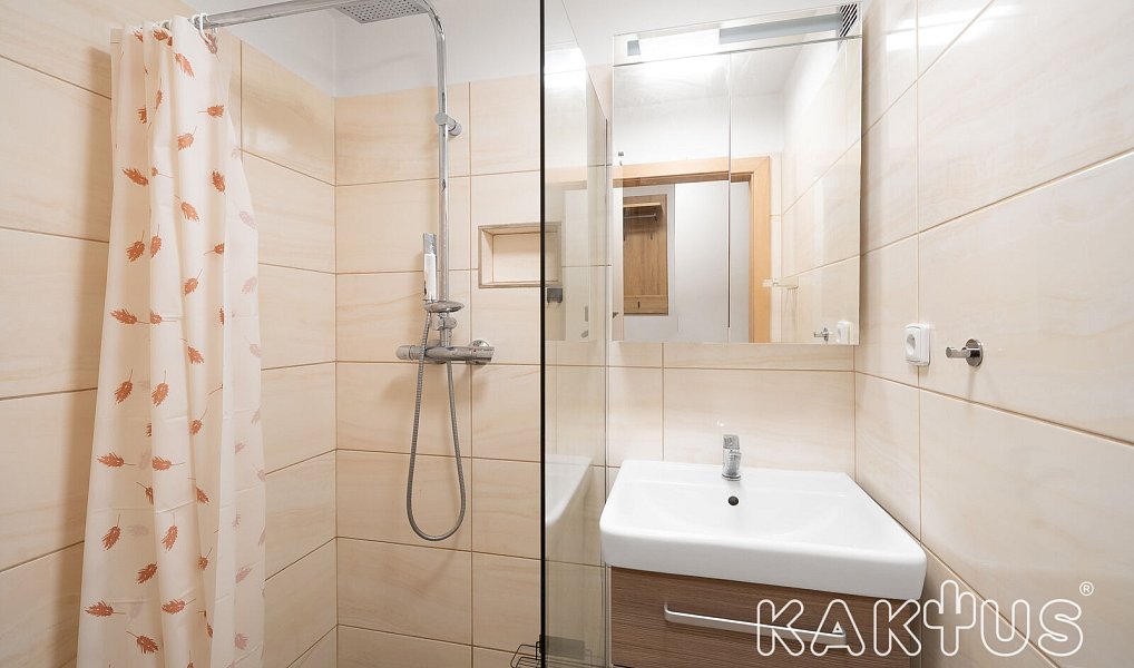Pronájem bytu 2+1 56 m², Ostrava – náhled fotky 12