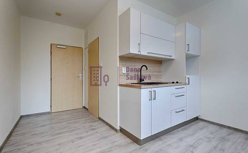 Pronájem bytu 1+kk 16 m², sídliště Vajgar, Jindřichův Hradec - Jindřichův Hradec III