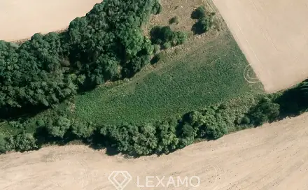 Ostatní