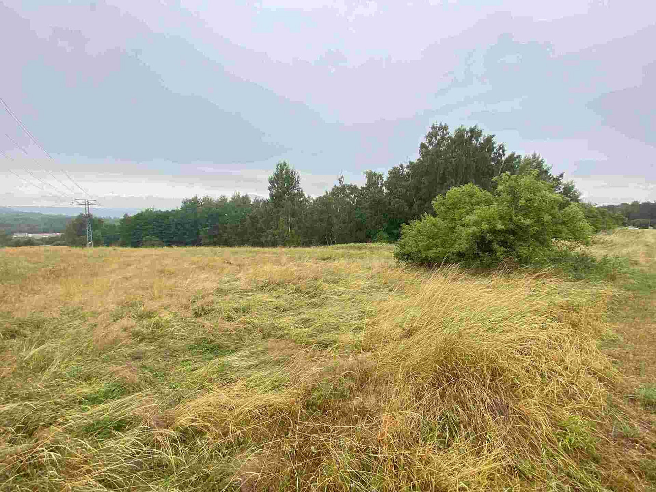 Prodej pole 49 321 m² – fotografie 2