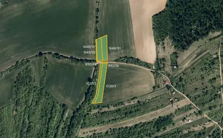 Prodej pole 14 142 m², Kyjov - Bohuslavice, okres Hodonín