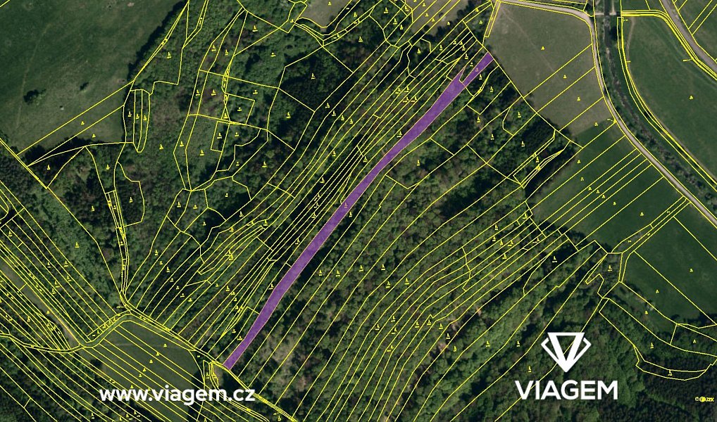 Prodej lesa 3 722 m², Bohuslavice nad Vláří – náhled fotky 4
