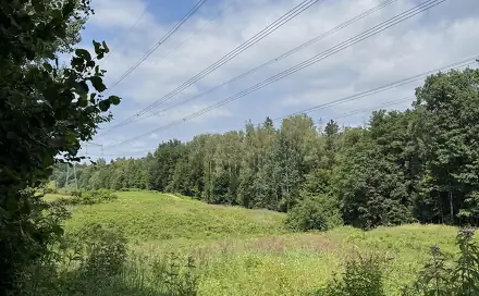 Prodej vodní plochy 12 501 m², Hodějice, okres Vyškov