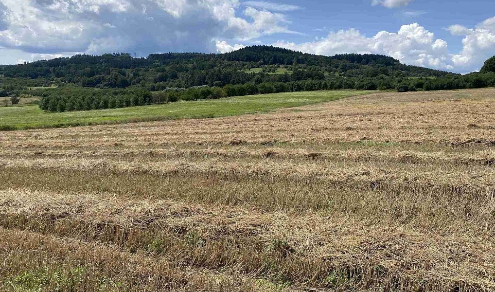 Prodej pole 55 481 m², Lhenice – náhled fotky 22