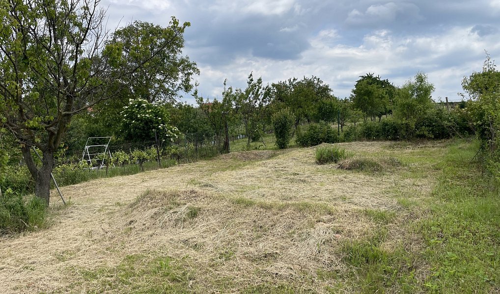 Prodej zahrady 935 m², Mikulov – náhled fotky 12