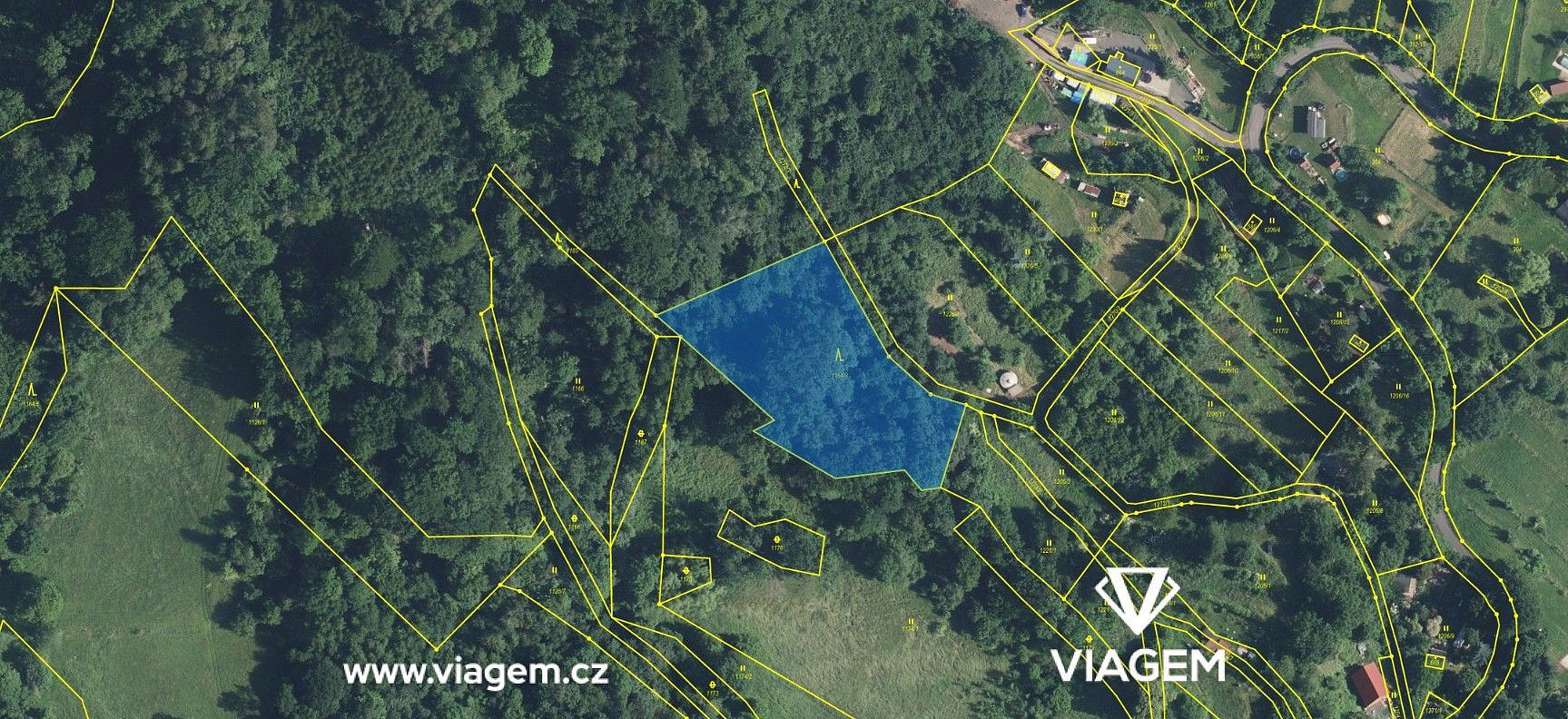 Prodej lesa 4 439 m²