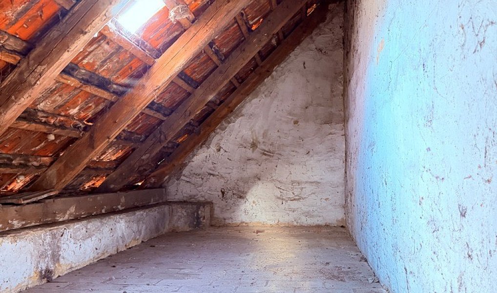 Prodej domu 120 m² s pozemkem 9 429 m², Bartošovice – náhled fotky 18
