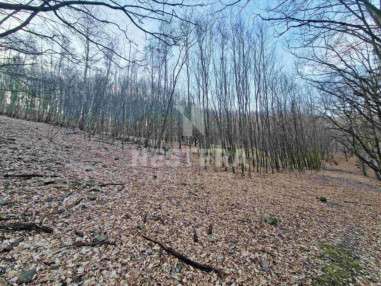 Prodej louky 10 301 m²