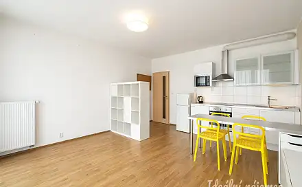 Pronájem bytu 1+kk 43 m²